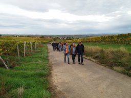 Weinfest Bockenheim 2019